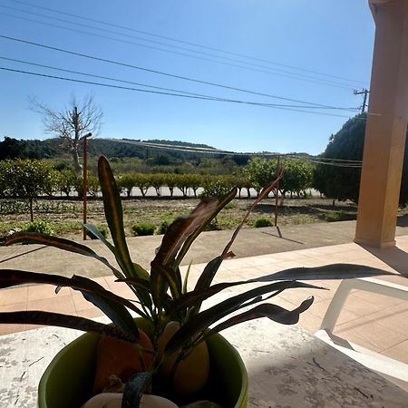 Garden View Appartment Kalavárda Dış mekan fotoğraf