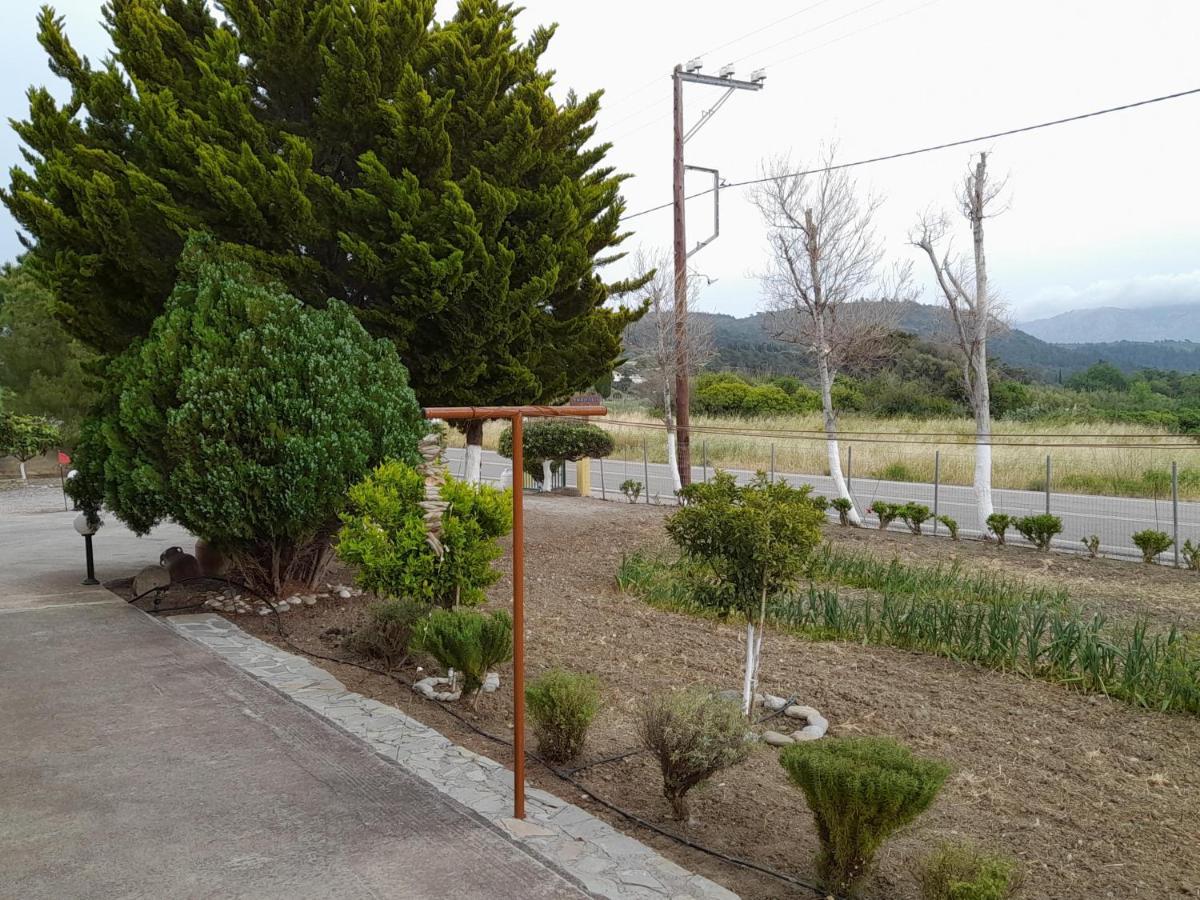 Garden View Appartment Kalavárda Dış mekan fotoğraf