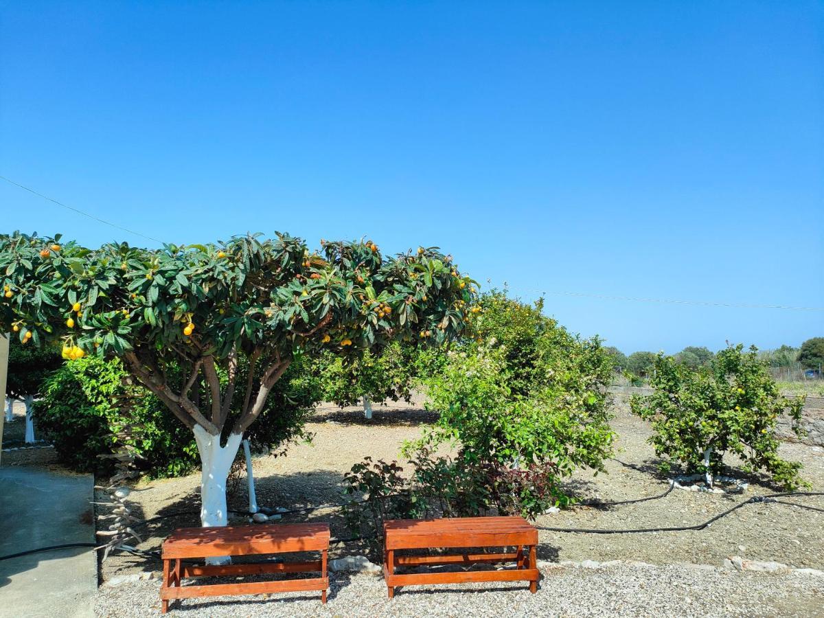 Garden View Appartment Kalavárda Dış mekan fotoğraf