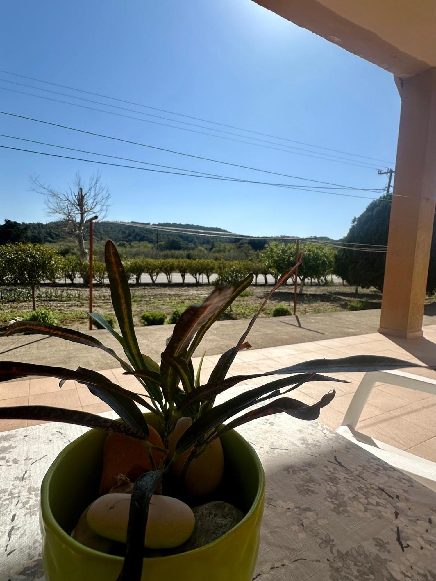 Garden View Appartment Kalavárda Dış mekan fotoğraf